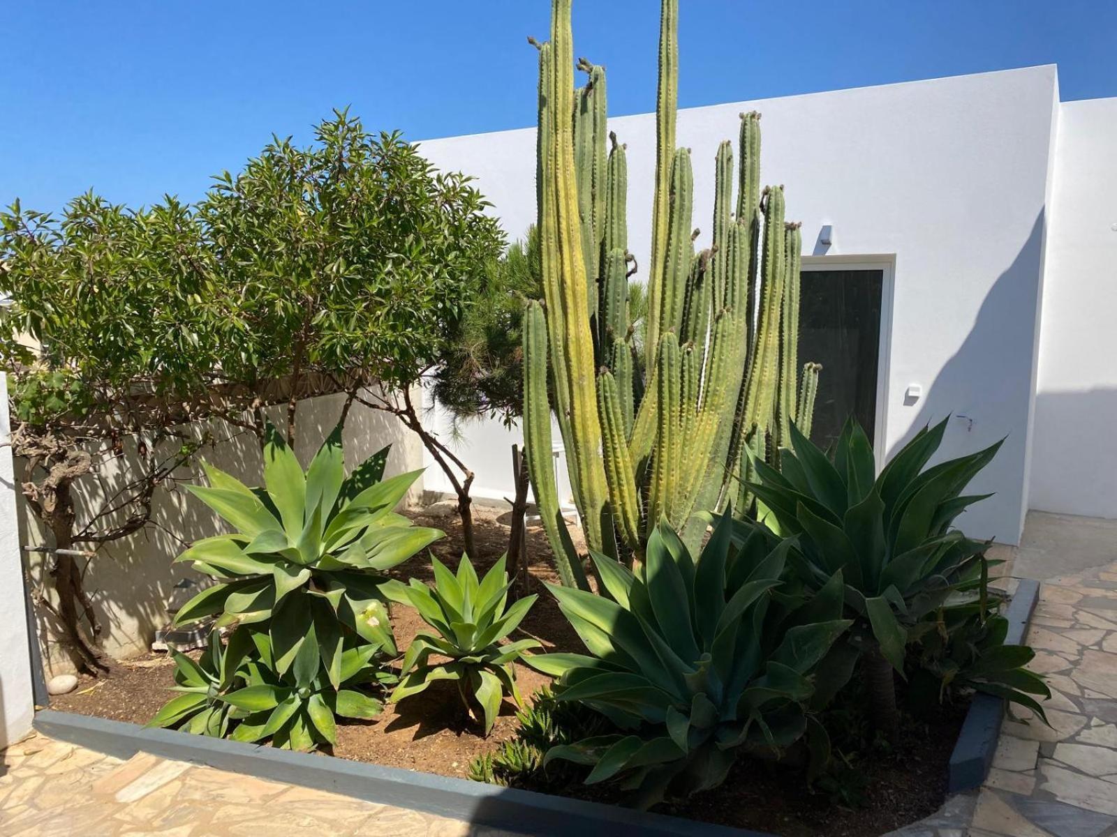 Appartement Casa La Isla à Sagres Extérieur photo